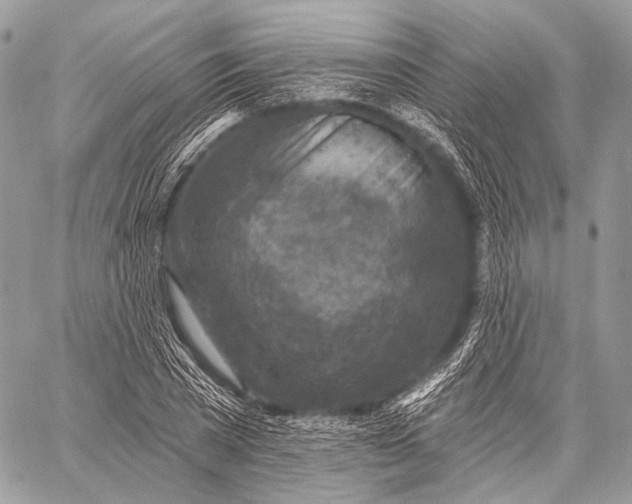 X0000059040785200510281541