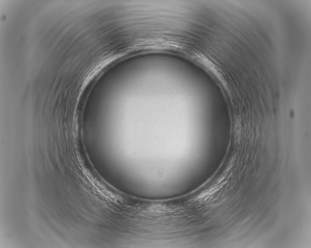 X0000059040787200510281541