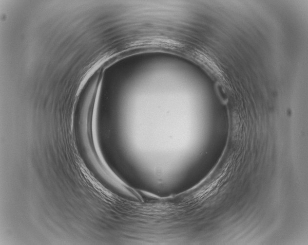 X0000059040788200510281541