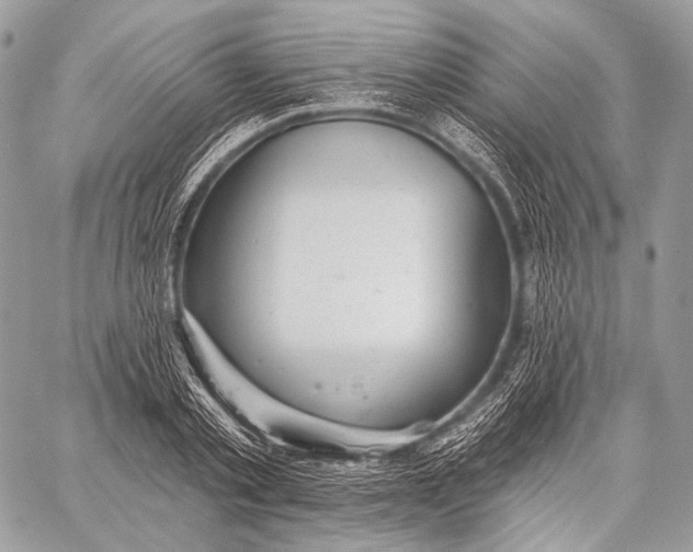 X0000059040789200510281541