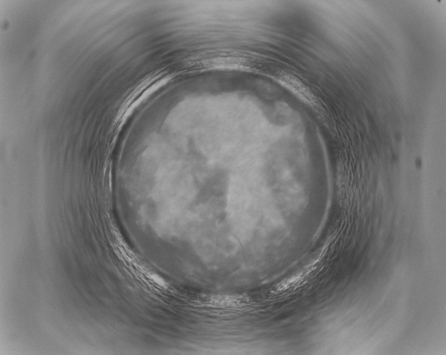 X0000059040790200510281541