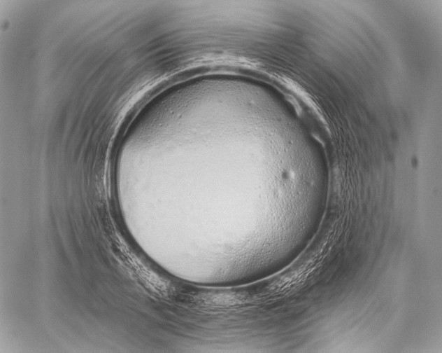 X0000059040791200510281541