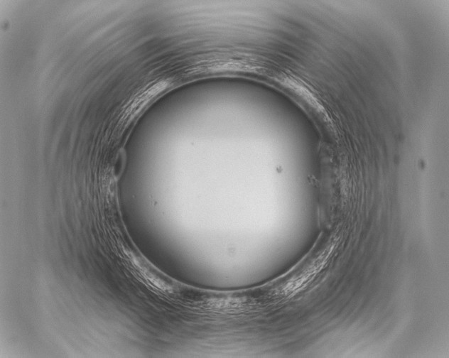 X0000059040793200510281541