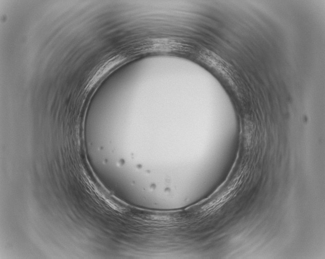 X0000059040794200510281541