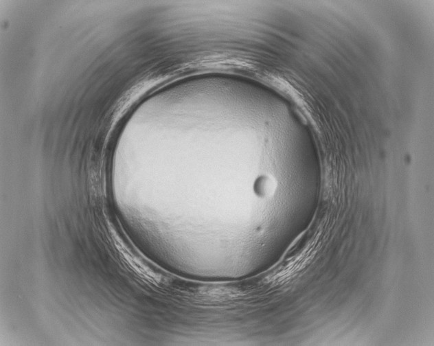 X0000059040795200510281541