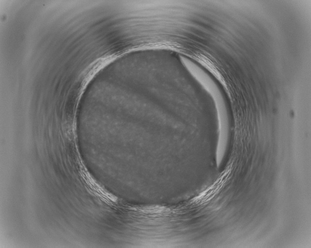 X0000059040797200510281541