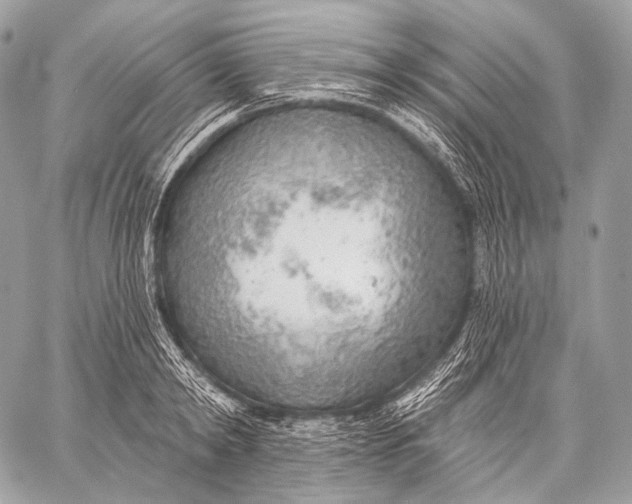 X0000059040798200510281541