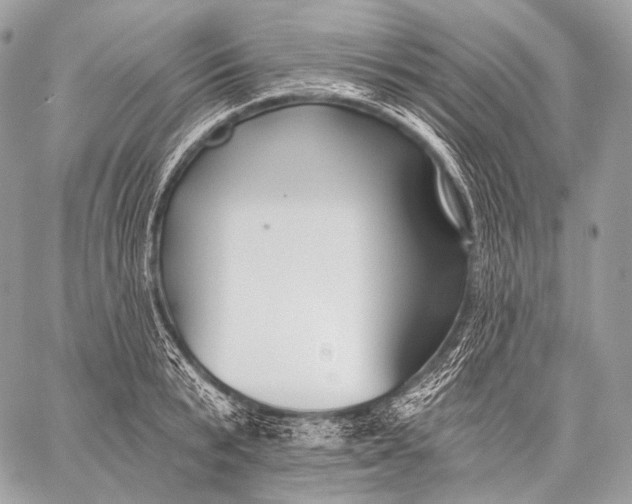 X0000059040799200510281541