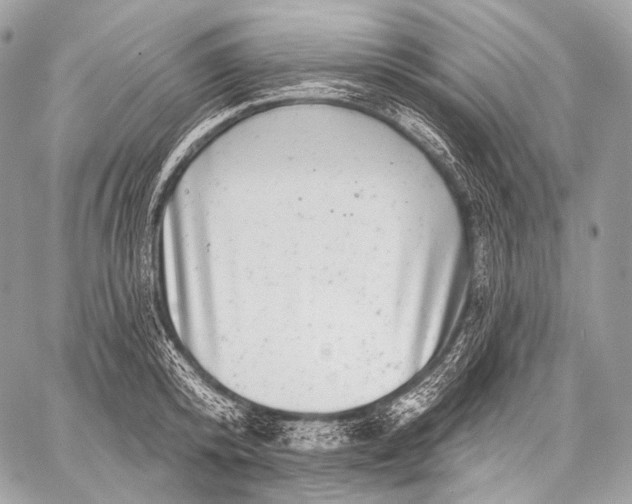 X0000059040800200510281541