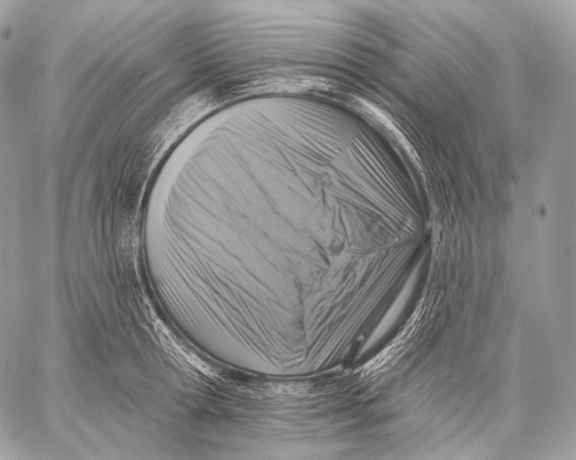 X0000059040802200510281541