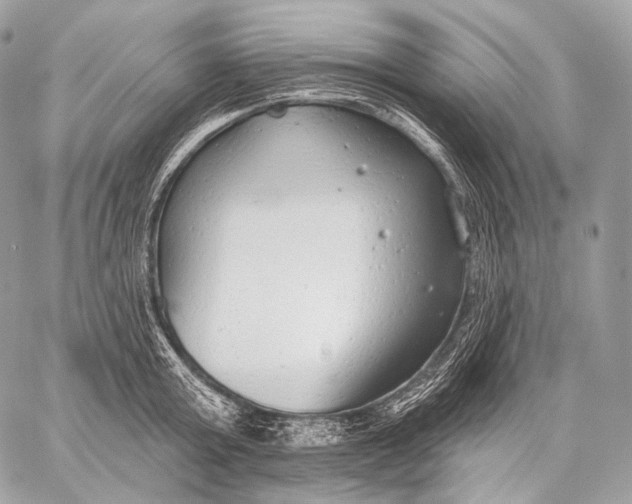 X0000059040803200510281541