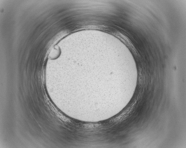 X0000059040804200510281541