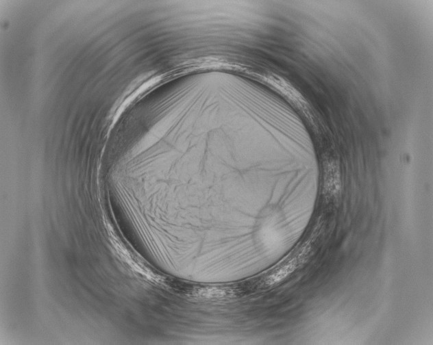 X0000059040806200510281541