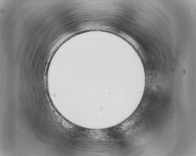 X0000059040807200510281541