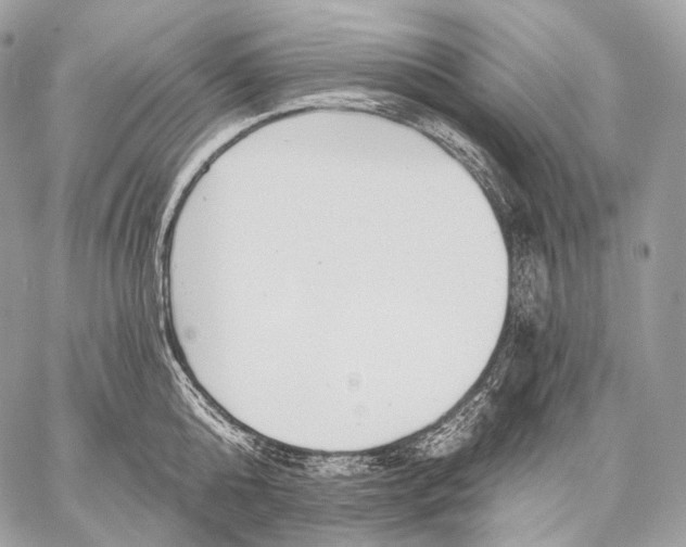 X0000059040808200510281541