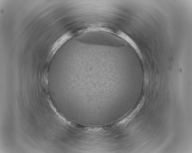 X0000059040809200510281540