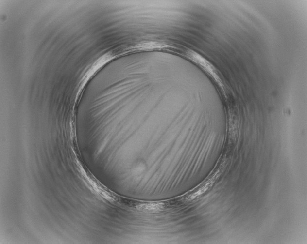 X0000059040810200510281540