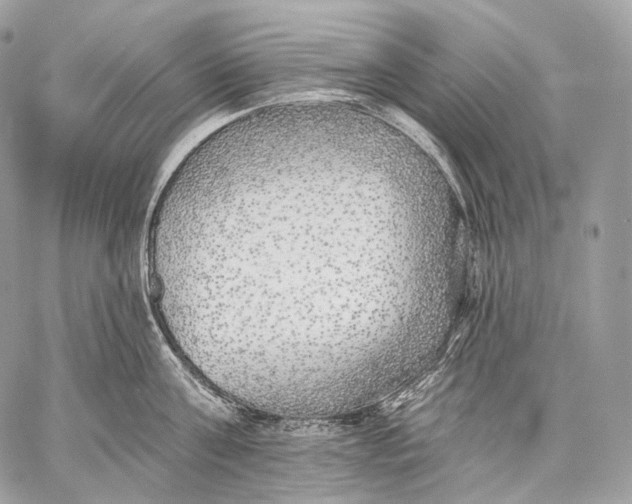 X0000059040811200510281540