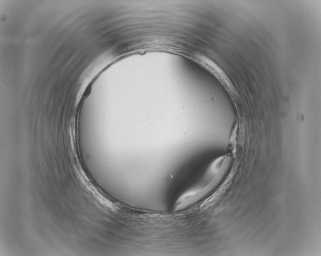 X0000059040812200510281540