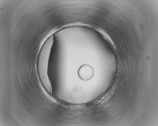 X0000059040813200510281540