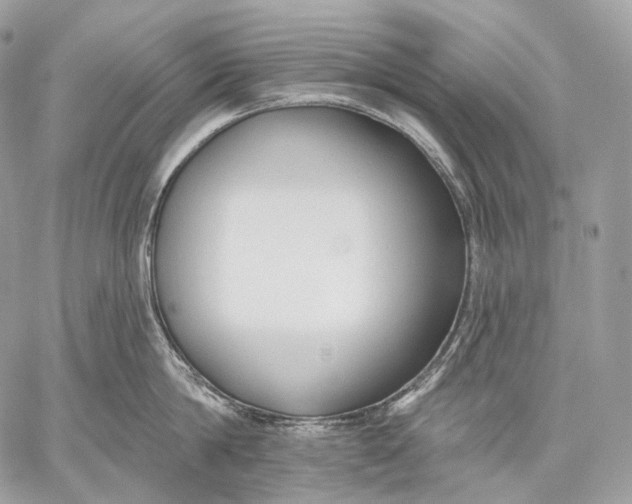 X0000059040814200510281540