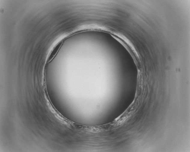 X0000059040815200510281540