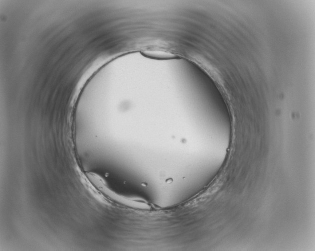 X0000059040816200510281540