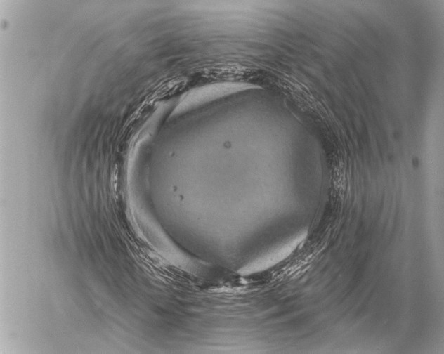 X0000059040818200510281540