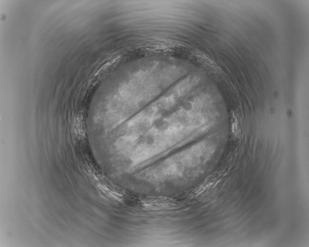 X0000059040819200510281540