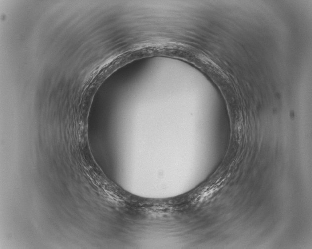 X0000059040822200510281540