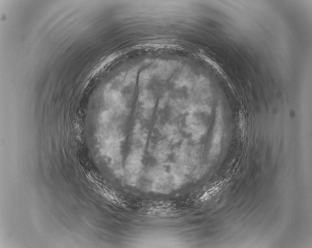 X0000059040823200510281540