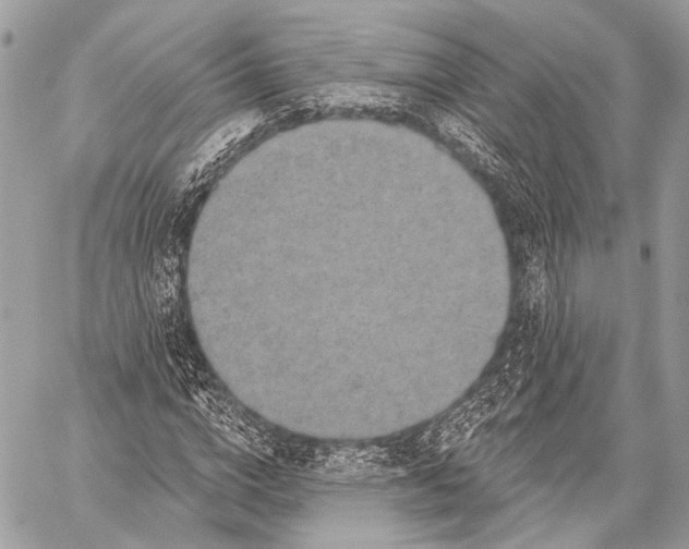 X0000059040824200510281540