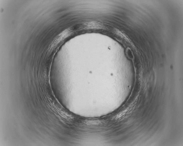 X0000059040825200510281540