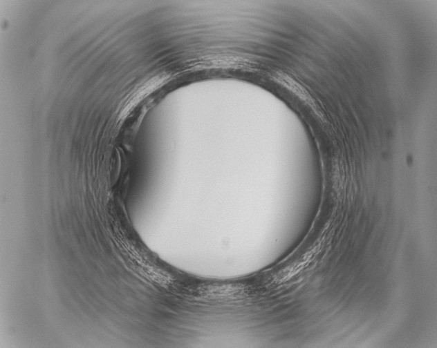 X0000059040826200510281540