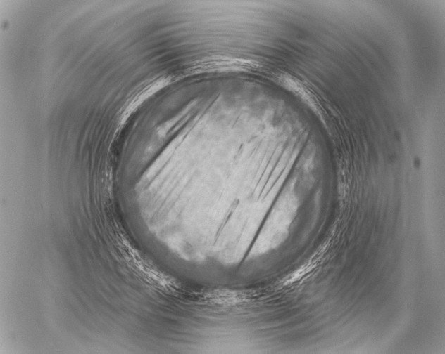 X0000059040827200510281540