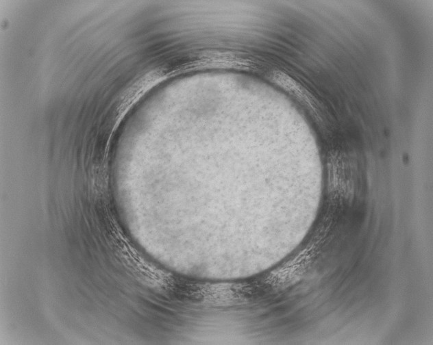 X0000059040828200510281540