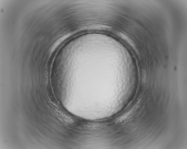 X0000059040829200510281540