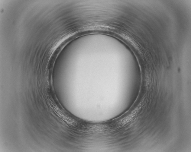 X0000059040830200510281540