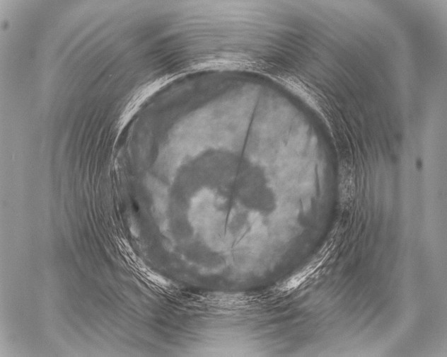 X0000059040831200510281540