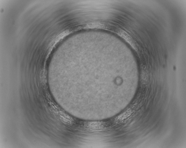 X0000059040832200510281540