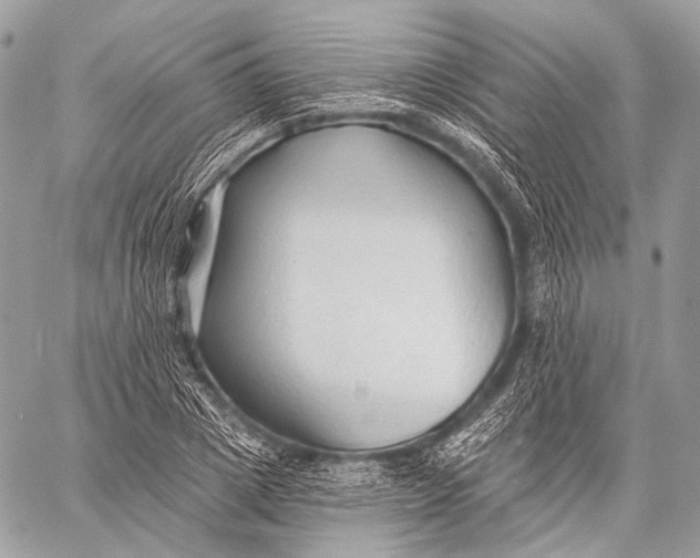 X0000059040833200510281540