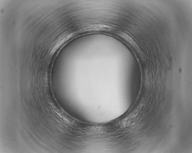 X0000059040834200510281540