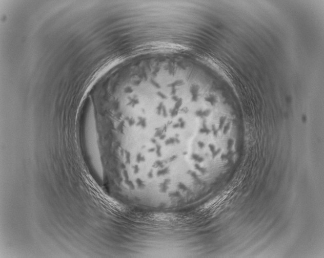 X0000059040835200510281540