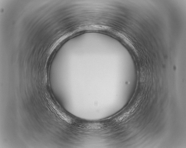 X0000059040837200510281540