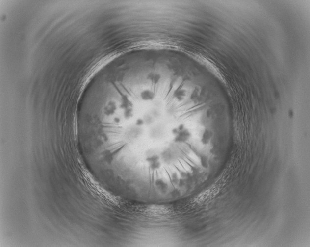 X0000059040839200510281540