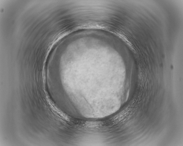 X0000059040840200510281540