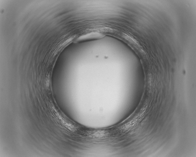 X0000059040841200510281540