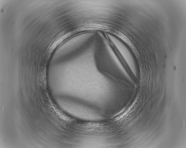 X0000059040842200510281540