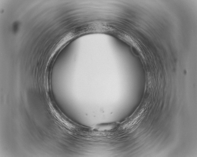 X0000059040843200510281540