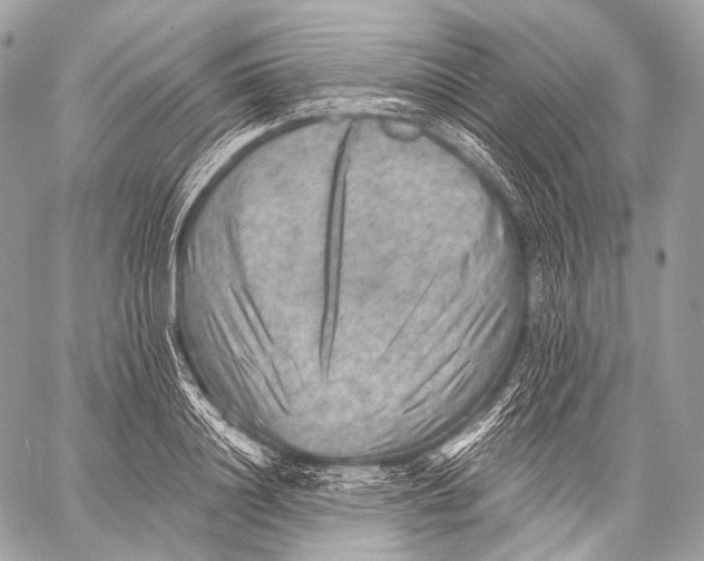 X0000059040844200510281540